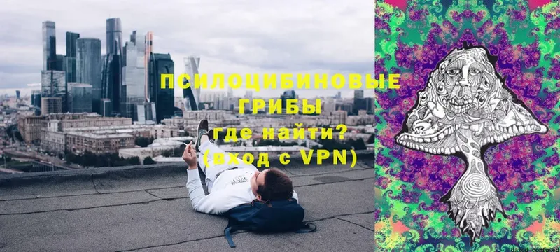 Псилоцибиновые грибы ЛСД  Ершов 